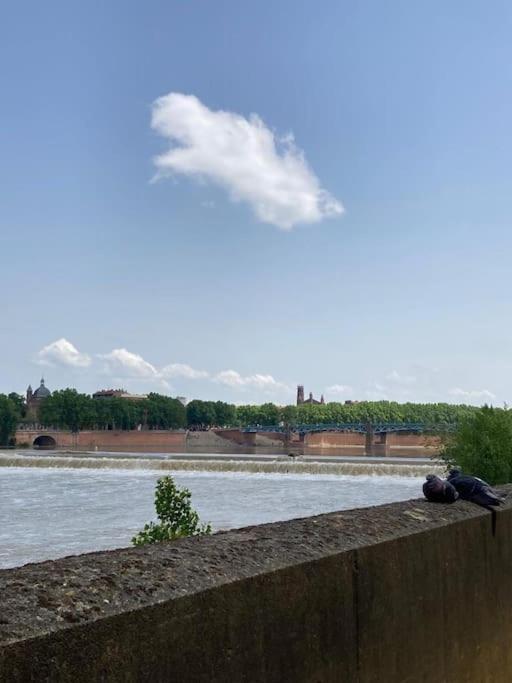 Charmant T2 Dans Toulouse Exteriér fotografie